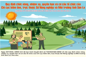 'Quyết định số 73/2025/QĐ-UBND