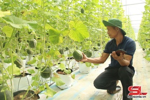 'Chiềng La nỗ lực giảm nghèo