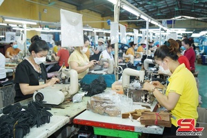 Phù Yên khai thác tiềm năng, lợi thế vùng