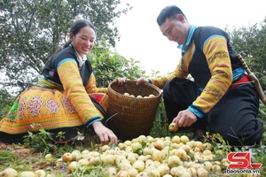 '“Thủ lĩnh” Đoàn gương mẫu