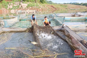 'Mường Sại bứt phá vươn lên
