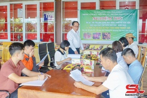 Trợ lực phát triển công nghiệp, tiểu thủ công nghiệp
