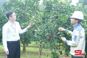 'Liên kết, xây dựng thương hiệu nông sản
