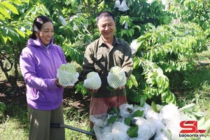 Chi bộ điển hình học và làm theo bác