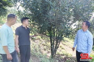 'Đẩy mạnh phát triển kinh tế tập thể, hợp tác xã