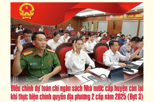 'Nghị quyết số 541/NQ-HĐND