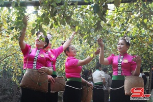 'Diện mạo mới vùng đất dưới chân đèo Cao Pha