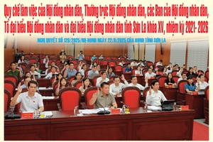 'Nghị quyết số 126/2025/NQ-HĐND