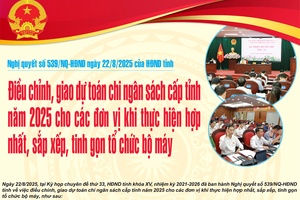 Điều chỉnh, giao dự toán chi ngân sách cấp tỉnh năm 2025 cho các đơn vị khi thực hiện hợp nhất, sắp xếp, tinh gọn tổ chức bộ máy