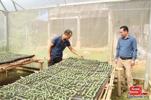 'Hỗ trợ sinh kế giúp đồng bào dân tộc thiểu số giảm nghèo bền vững
