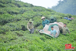 Diện mạo mới ở Liên Hưng