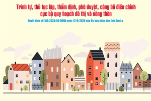 'Trình tự, thủ tục lập, thẩm định, phê duyệt, công bố điều chỉnh cục bộ quy hoạch đô thị và nông thôn
