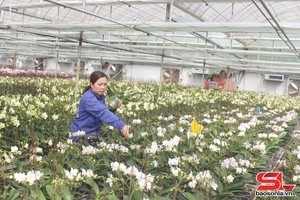 Đẩy mạnh phát triển nông nghiệp công nghệ cao