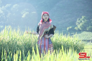 'Phát triển nông nghiệp gắn với du lịch