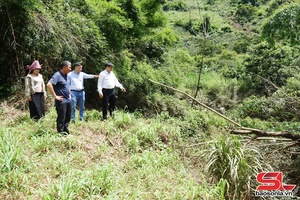 'Bảo vệ môi trường trong hoạt động sản xuất và sinh hoạt