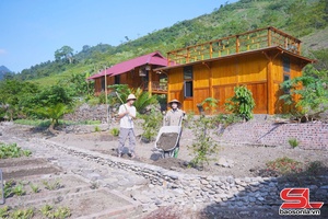 'Thanh niên khởi nghiệp từ nội dung số