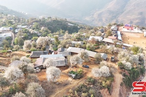 'Về vùng đất mở