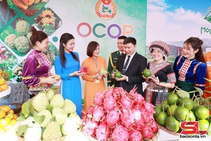 Điểm sáng nông nghiệp của cả nước