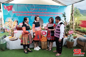 Đưa hương chè shan tuyết Suối Tọ vươn xa