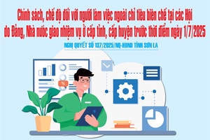 'Chính sách, chế độ đối với người làm việc ngoài chỉ tiêu biên chế tại các Hội do Đảng, Nhà nưóc giao nhiệm vụ ở cấp tỉnh, cấp huyện trước thời điểm ngày 1/7/2025