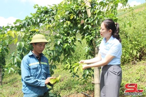 Mở đường cho nông sản vươn ra thị trường quốc tế