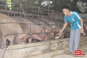 Phát huy vai trò Hội nông dân trong tái cơ cấu nông nghiệp