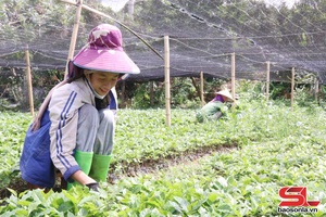 'Nhiều hoạt động hỗ trợ hội viên phụ nữ