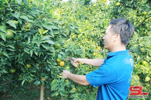 'Đa dạng mô hình kinh tế tại xã Đoàn Kết