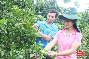 Đồng hành cùng phụ nữ phát triển kinh tế