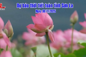 'Dự báo thời tiết toàn tỉnh Sơn La ngày 30/11/2025