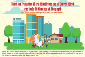 Thành lập Trung tâm Hỗ trợ đổi mới sáng tạo và Chuyển đổi số trực thuộc Sở Khoa học và Công nghệ