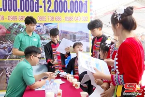 'Giải quyết việc làm cho lao động nông thôn