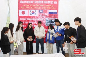 'Nâng cao tiêu chí thu nhập trong xây dựng nông thôn mới