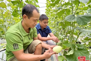 'Nông dân Chiềng La phát triển mô hình kinh tế tổng hợp
