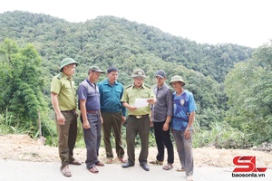 'Động lực giữ rừng bền vững