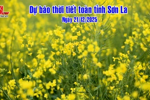 'Dự báo thời tiết toàn tỉnh Sơn La đêm 20 và ngày 21/12/2025