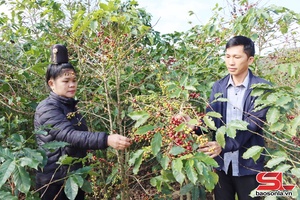 'Đảng viên xã Mường Chanh tiên phong gương mẫu