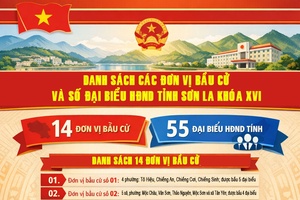 'Ấn định 14 đơn vị bầu cử đại biểu HĐND tỉnh khóa XVI