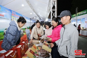 Đưa kinh tế tập thể thành động lực phát triển bền vững