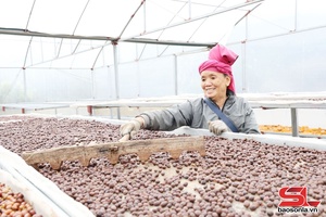 Xúc tiến, hỗ trợ “Đi cùng nhà đầu tư”