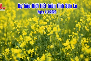'Dự báo thời tiết toàn tỉnh Sơn La ngày 4/1/2026