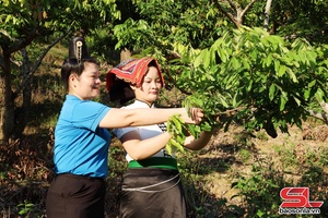 Đồng hành cùng hội viên phát triển kinh tế nông nghiệp