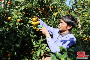 'Thi đua hướng về Đại hội XIV của Đảng