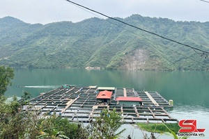 'Làm giàu từ nghề nuôi cá lồng trên lòng hồ