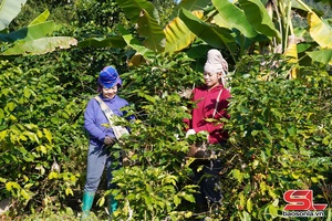 'Làm giàu từ khai thác lợi thế