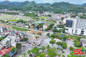 'Xây dựng phường Tô Hiệu trở thành trung tâm đô thị xanh, văn minh