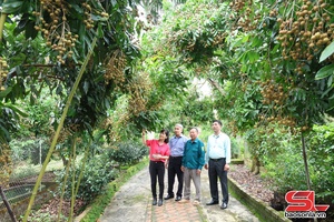 'Đa dạng hóa các loại cây trồng nâng cao thu nhập