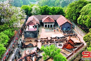 'Ngọn lửa Tô Hiệu và mùa xuân hôm nay