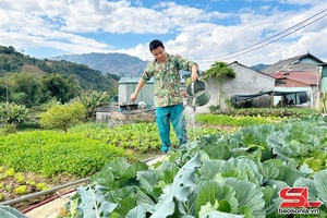 Mường É trồng rau vụ Đông