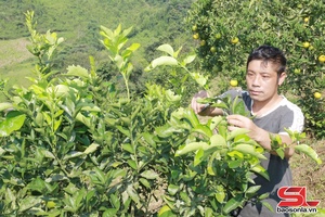 'Hỗ trợ nhân dân phát triển kinh tế, xóa đói, giảm nghèo